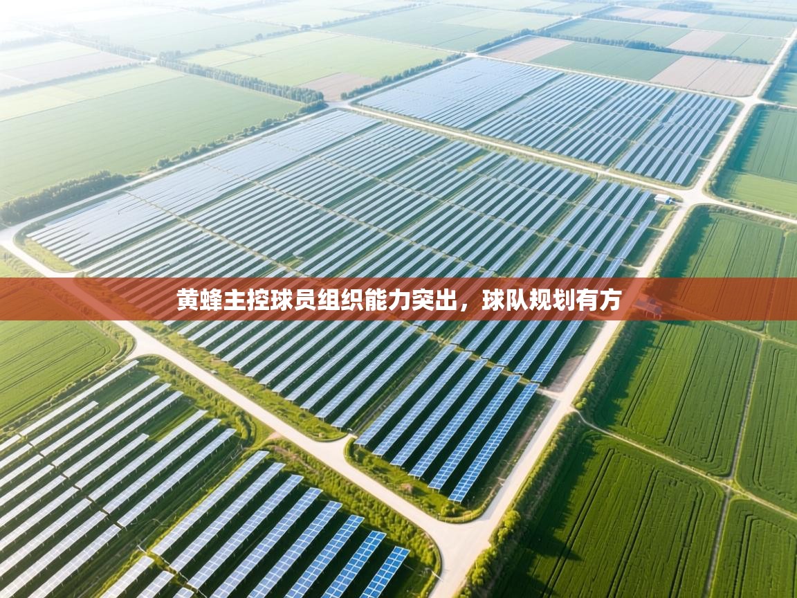 黄蜂主控球员组织能力突出，球队规划有方